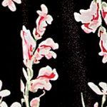 Black Floral